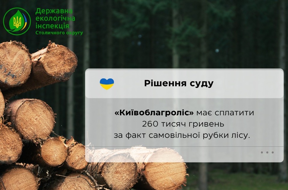 У Київській області держпідприємство допустило незаконну вирубку лісу