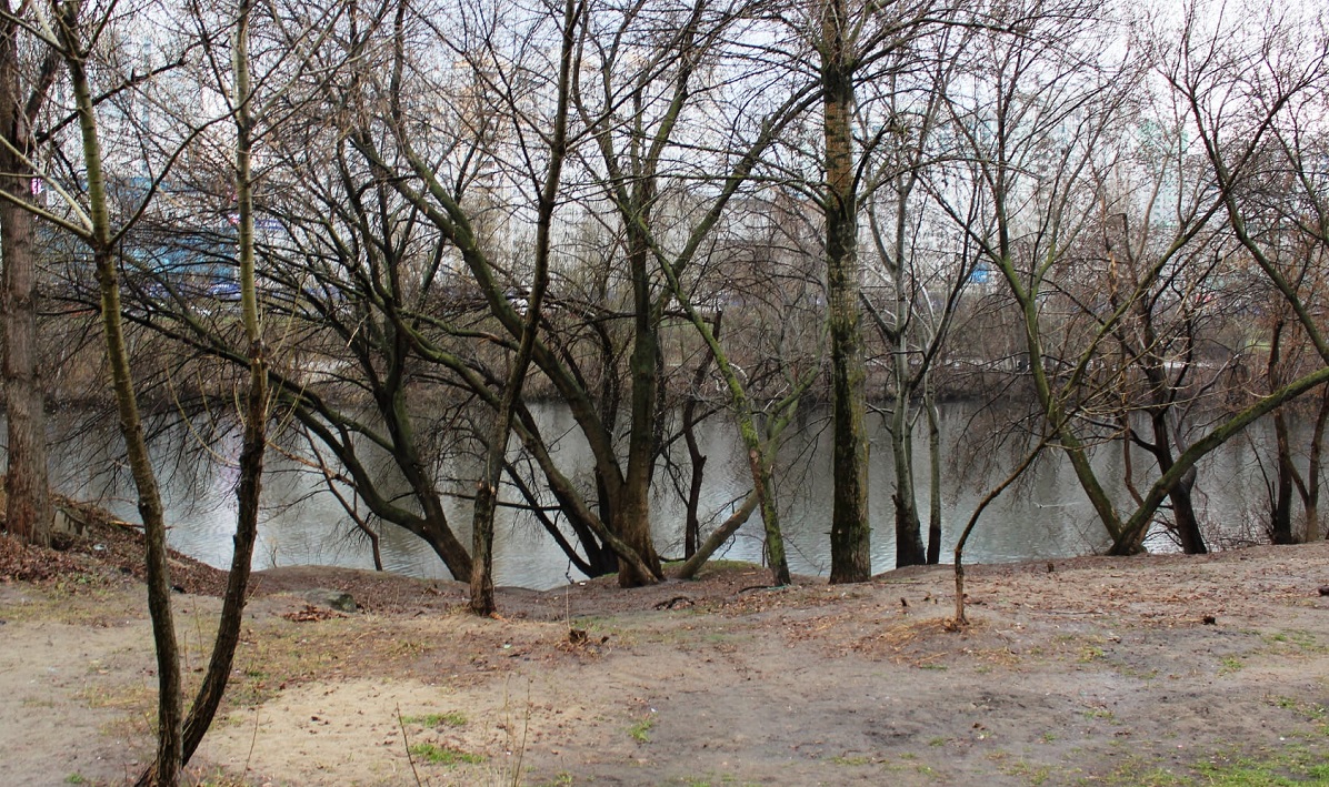 В Киеве на берегах озер убирают свалки (ФОТО)